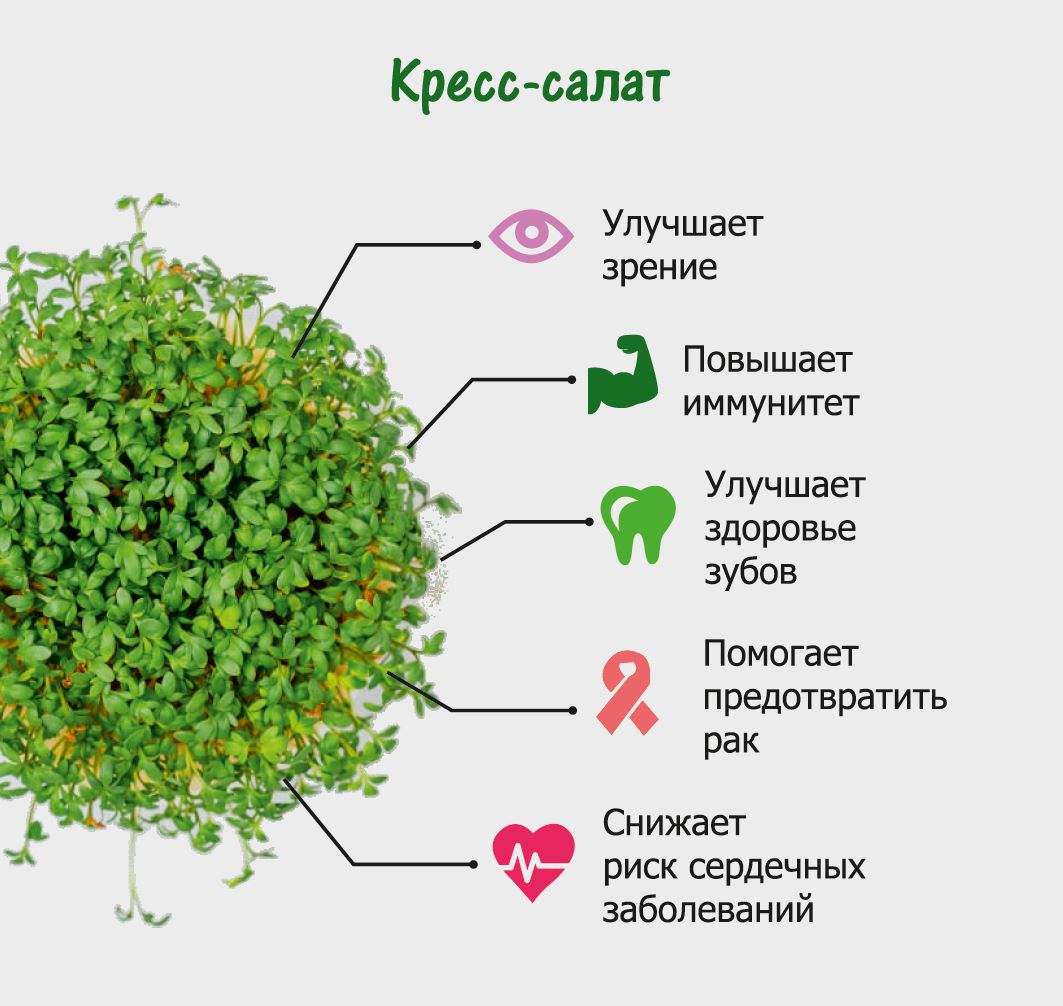 Госты на кресс салат