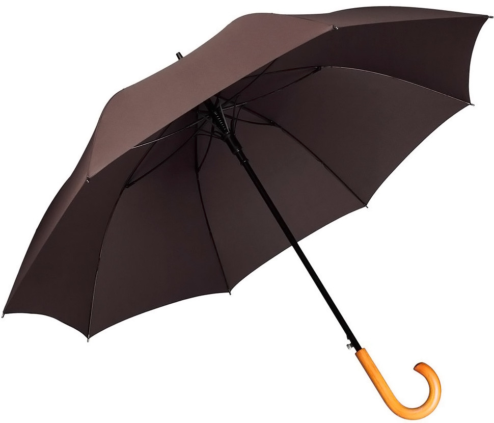 Классические зонты